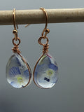 Dried pressed flower earrings, forget me knot flowers in glass drop earrings, Rose gold flower jewelry, boho earrings, hippie,