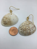 Beach shell earrings in rose gold, gold or silver, beach jewelry, zoom jewelry, summer earrings, boho jewelry, rose gold jewellery,