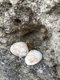 Beach shell earrings in rose gold, gold or silver, beach jewelry, zoom jewelry, summer earrings, boho jewelry, rose gold jewellery,