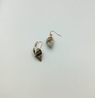 Rose gold, gold or silver shell earrings
