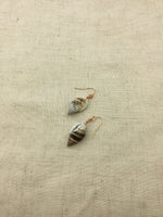Rose gold, gold or silver shell earrings